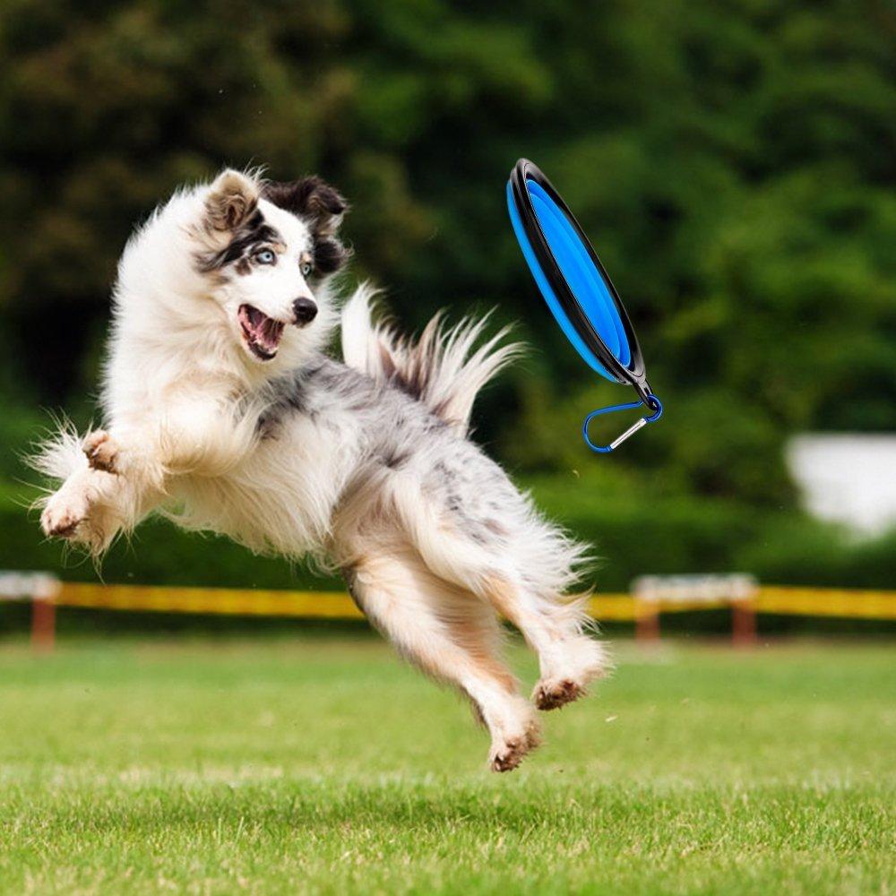 Pawsenger™ Collapsible Water Bottle – 2-in-1 Pet Hydration & Feeding Anywhere