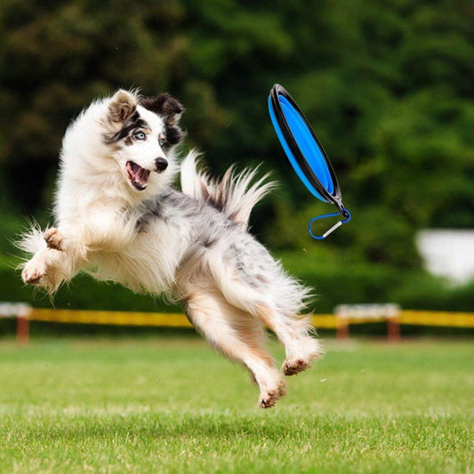 Pawsenger™ Collapsible Water Bottle – 2-in-1 Pet Hydration & Feeding Anywhere